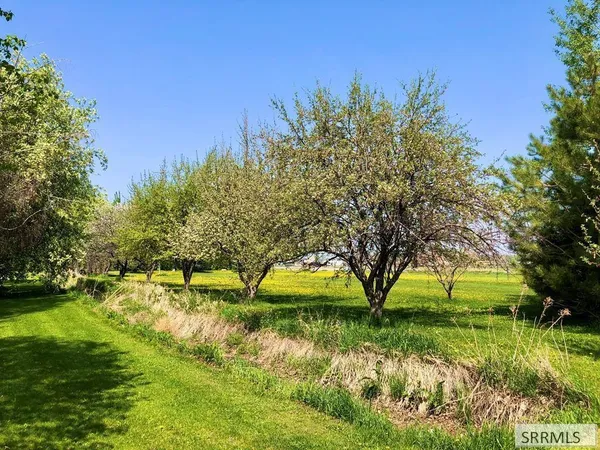 $500,000 | 296 4115 East, Rigby, ID 83442