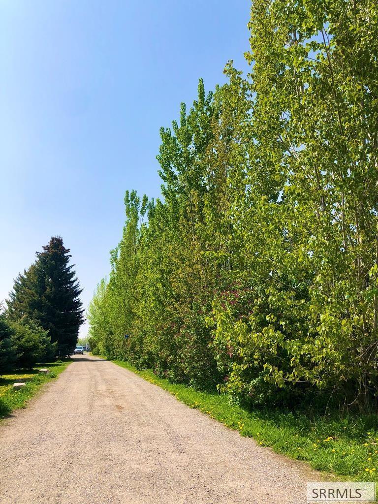 296 4115 East Rigby, ID 83442 - Photo 71 of 75