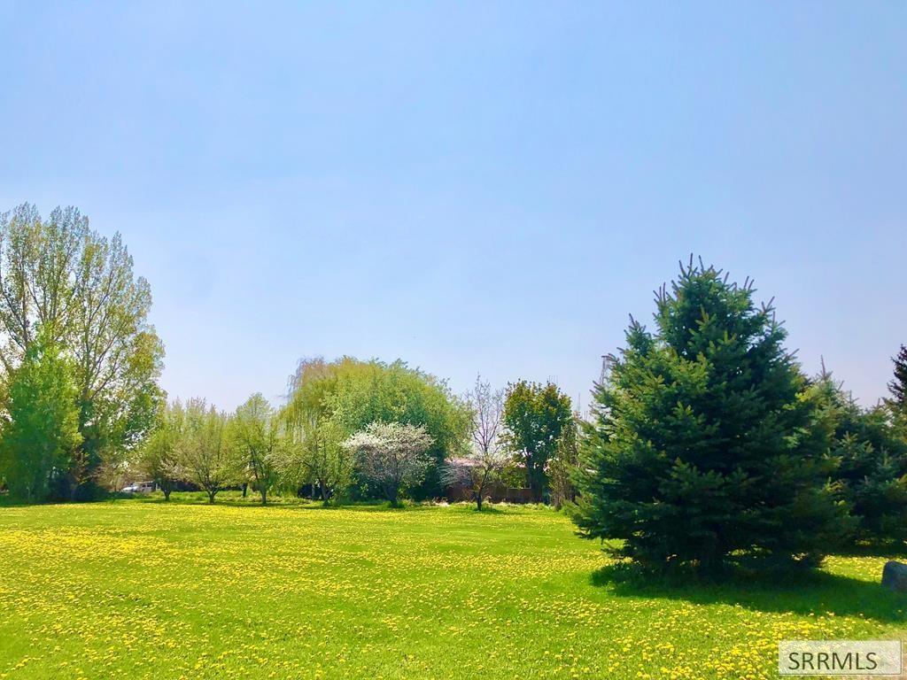 296 4115 East Rigby, ID 83442 - Photo 72 of 75