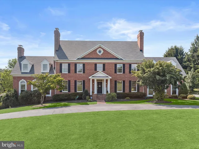 a view of a park with large trees