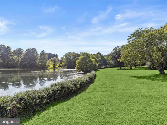 a view of a garden with a fountain
