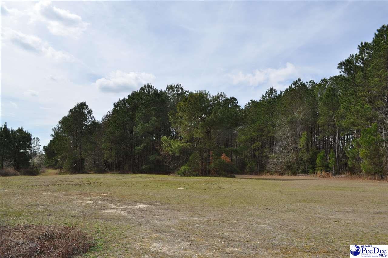 Tbd Crater Road Marion, SC 29571 - Photo 23 of 33 Gallery Image 23