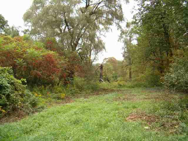 0 River Road Petersburgh, NY 12138 - Photo 1 of 1 Photo 1