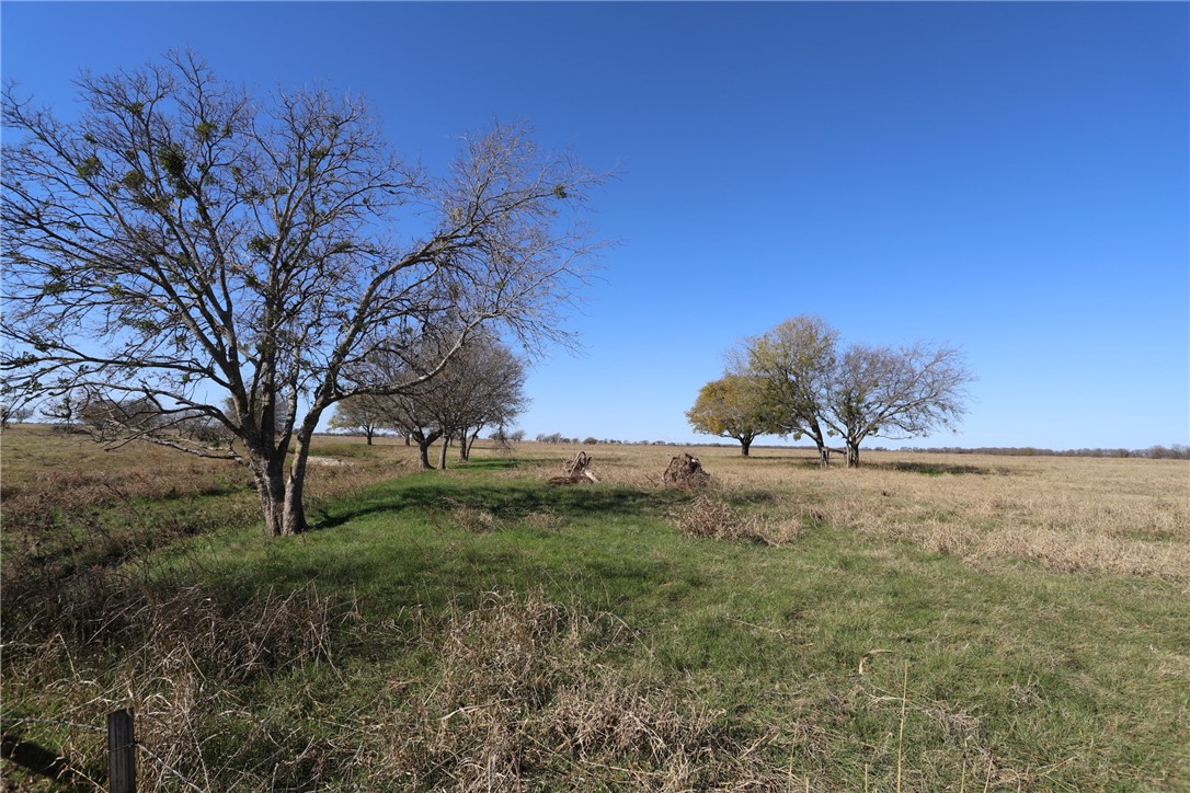 739 Willow Branch Road McGregor, TX 76657 - Photo 18 of 25 a backyard of a house with lots of green space