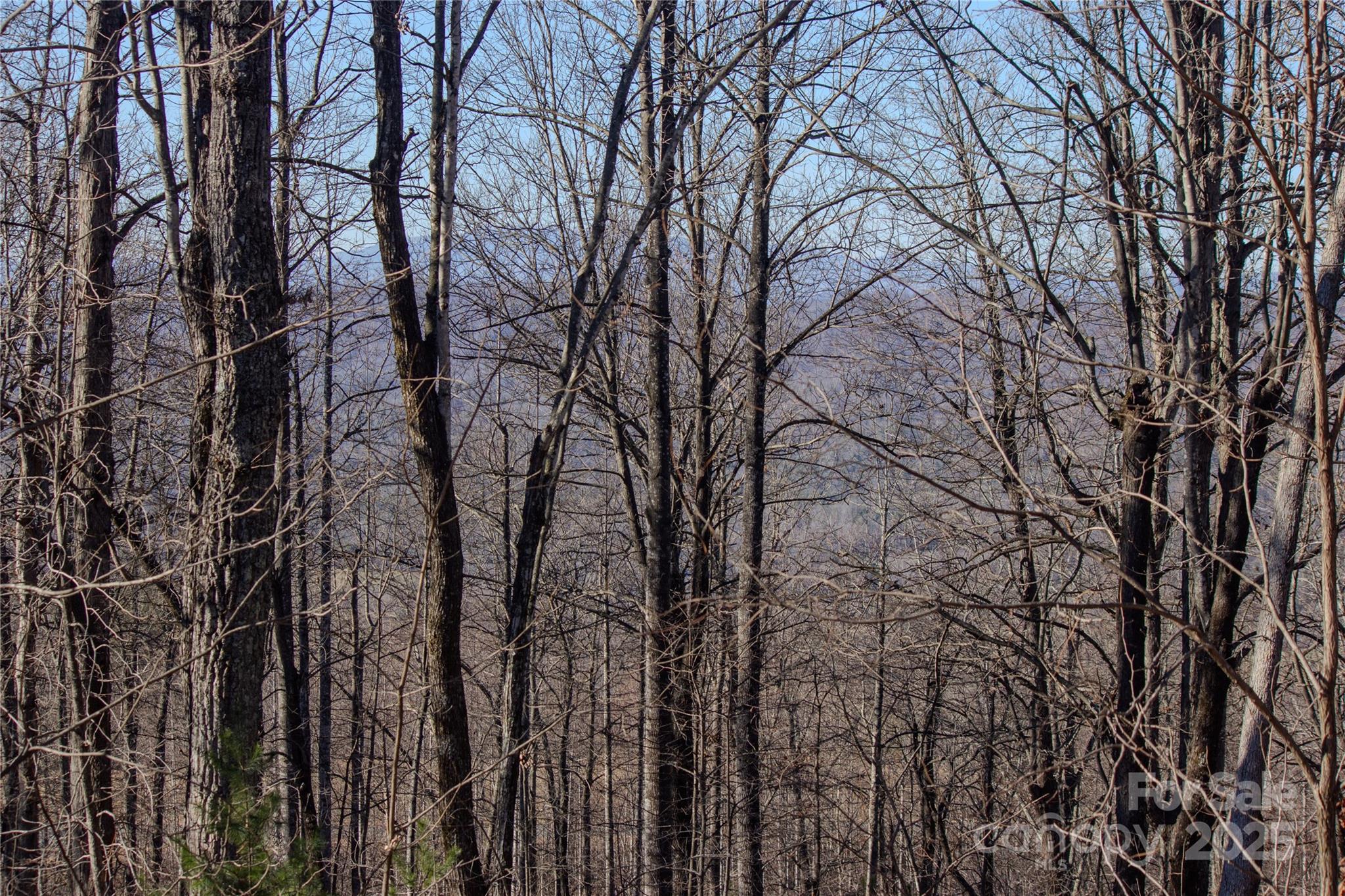 2216 Nighthawk Ridge Court, Unit 30 Lenoir, NC 28645 - Photo 3 of 7