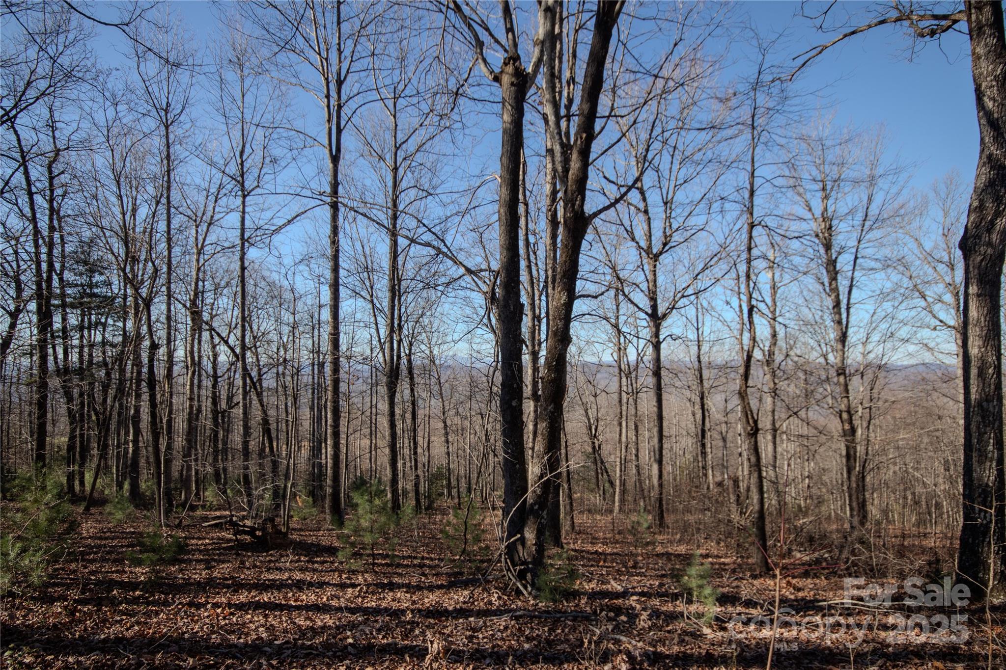 2216 Nighthawk Ridge Court, Unit 30 Lenoir, NC 28645 - Photo 4 of 7 a view of a backyard