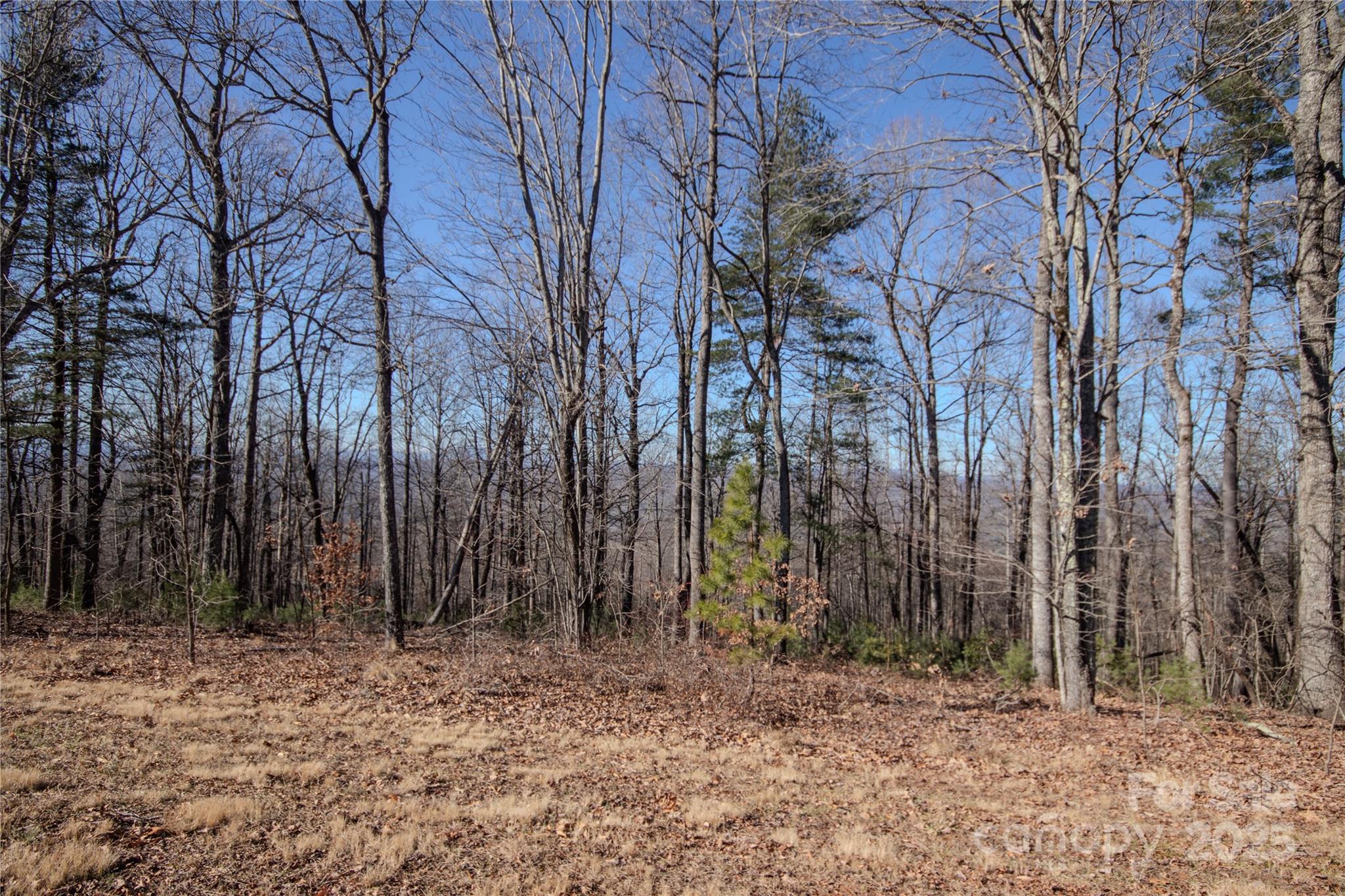 2216 Nighthawk Ridge Court, Unit 30 Lenoir, NC 28645 - Photo 5 of 7 a view of a backyard of the house