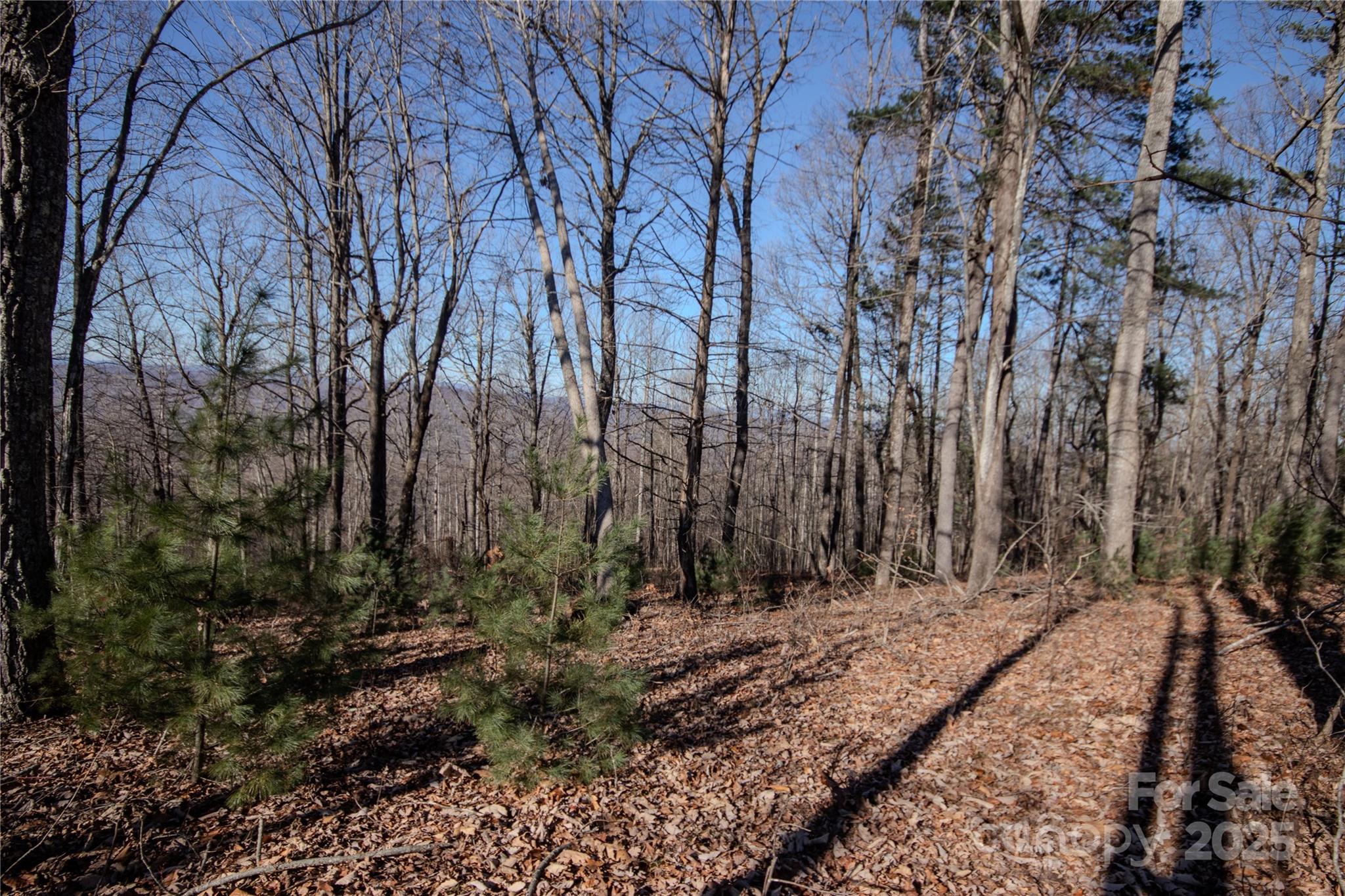 2216 Nighthawk Ridge Court, Unit 30 Lenoir, NC 28645 - Photo 6 of 7 a view of a backyard of the house