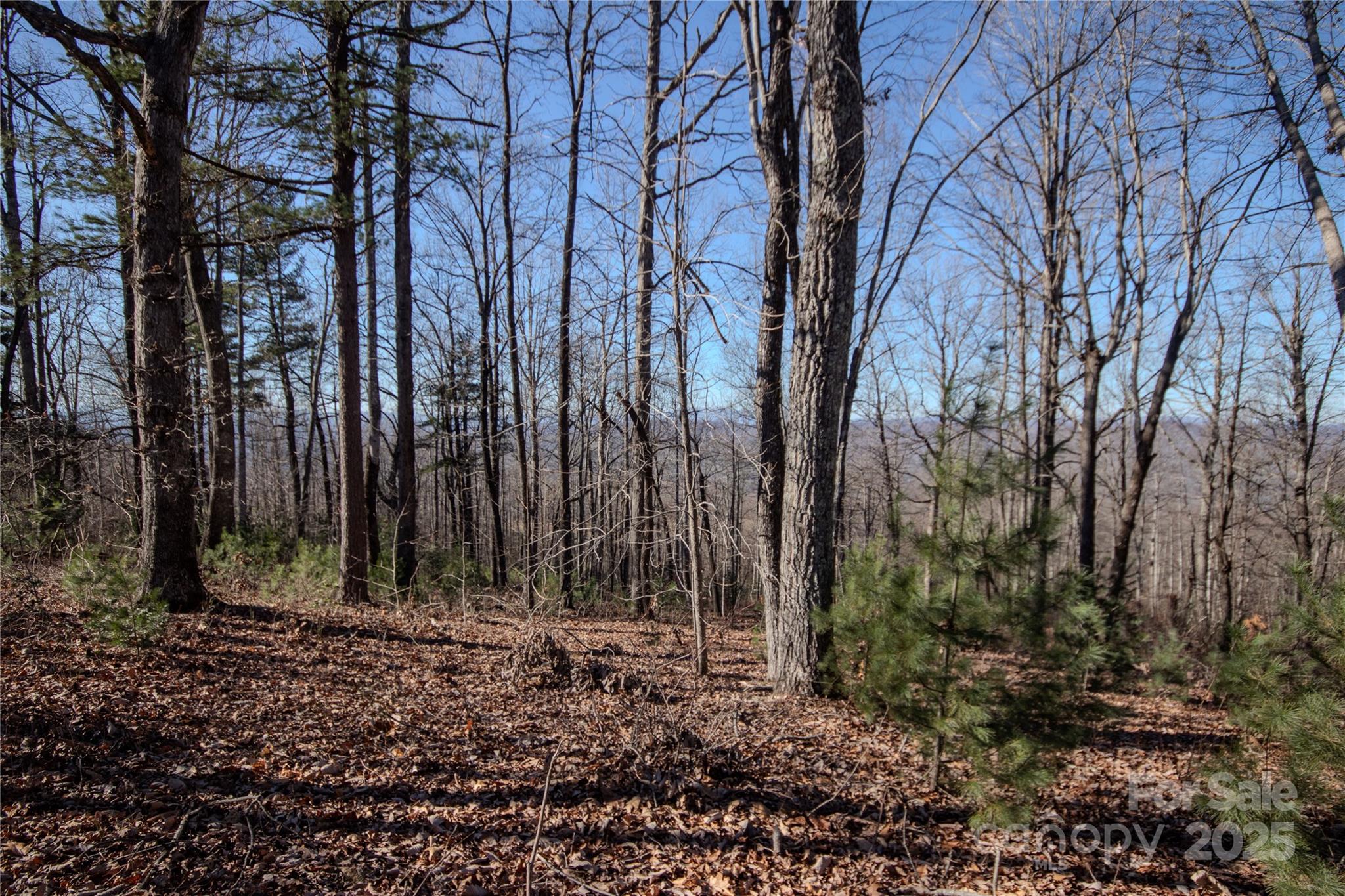 2216 Nighthawk Ridge Court, Unit 30 Lenoir, NC 28645 - Photo 7 of 7 a view of outdoor space with lots of trees