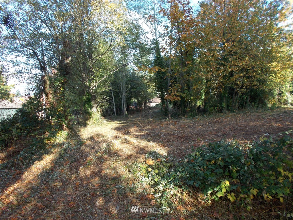 0 Sheridan Road Bremerton, WA 98310 - Photo 3 of 19