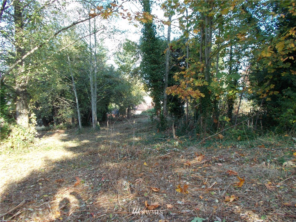 0 Sheridan Road Bremerton, WA 98310 - Photo 8 of 19