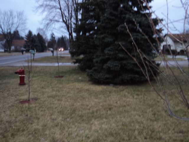3285 Krafft Road Fort Gratiot, MI 48059 - Photo 2 of 17 31091996-1.JPG