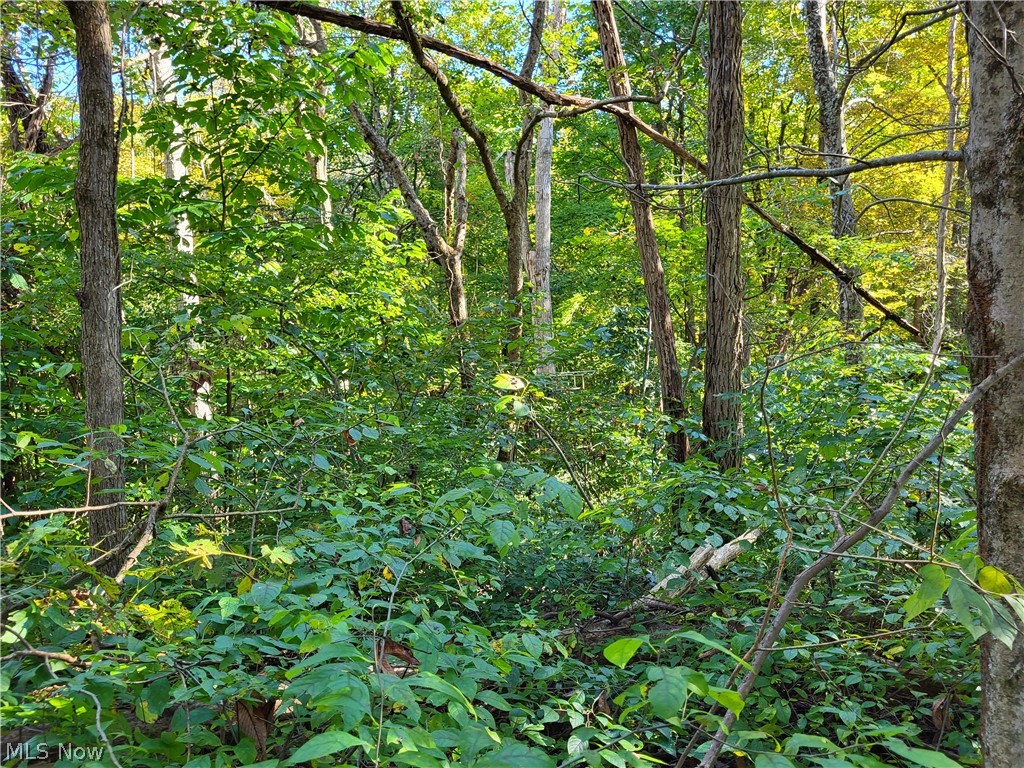 610 Upper Douda Road Malta, OH 43758 - Photo 11 of 19