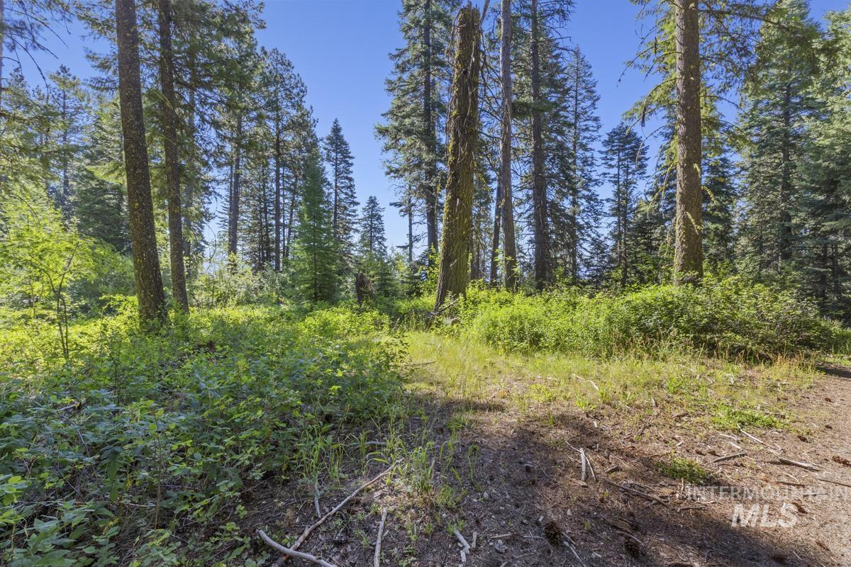 2 Arling Trail Cascade, ID 83611 - Photo 2 of 15 Upper Side of Lot