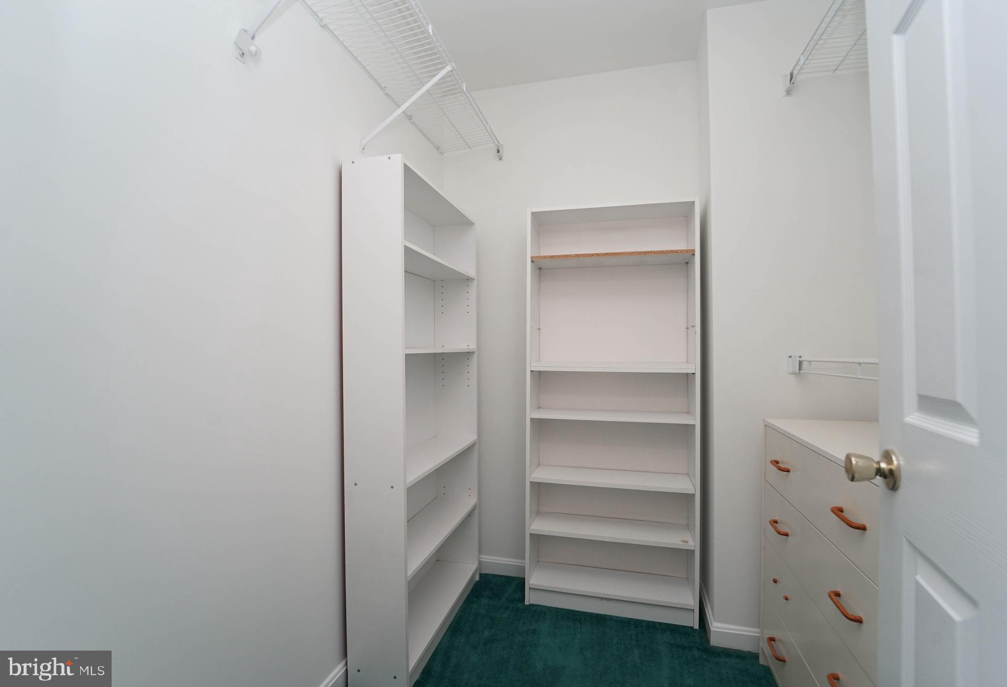 7009 Bridgepointe Drive Chester, MD 21619 - Photo 33 of 41 a view of walk in closet with empty racks