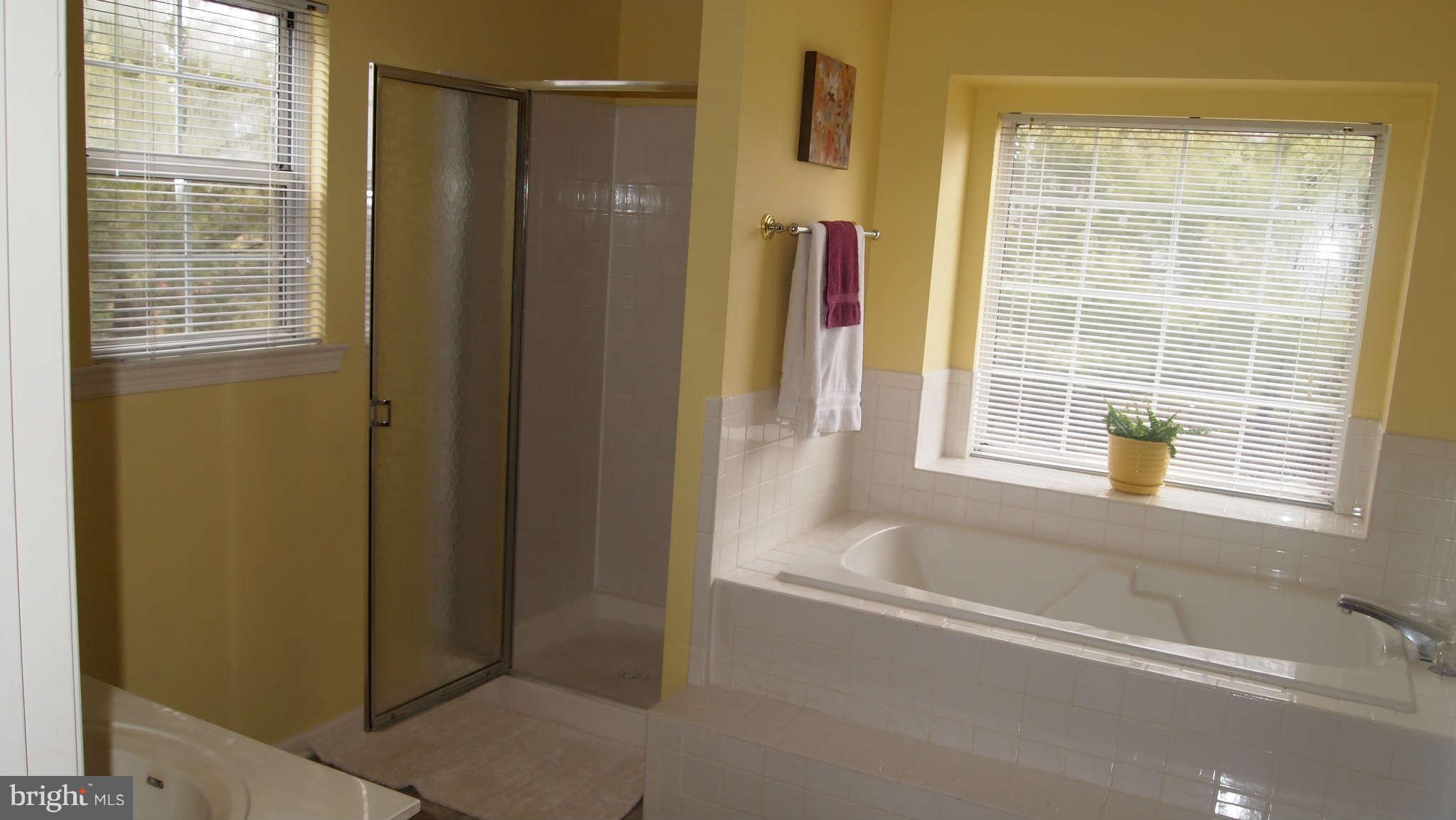 104 Minor Road Sterling, VA 20165 - Photo 14 of 30 Bath (Master)