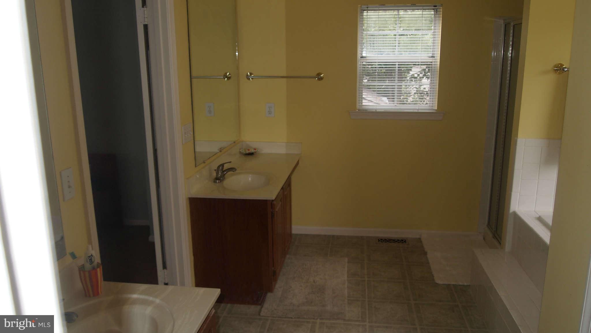 104 Minor Road Sterling, VA 20165 - Photo 15 of 30 Bath (Master)