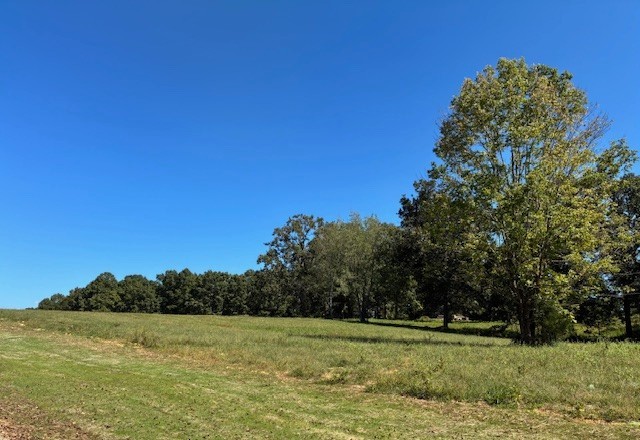 3206 Hunziker Lane Fairview, TN 37062 - Photo 4 of 9 a view of a grassy field with trees in the background