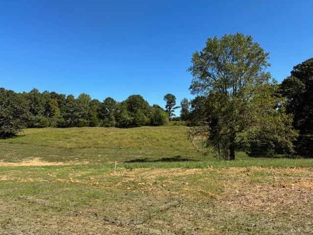 3206 Hunziker Lane Fairview, TN 37062 - Photo 5 of 9 a view of outdoor space and yard