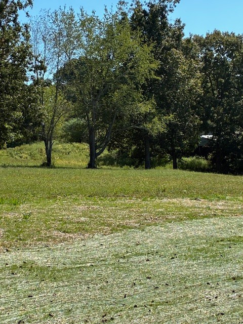 3206 Hunziker Lane Fairview, TN 37062 - Photo 6 of 9 a view of a field with an trees