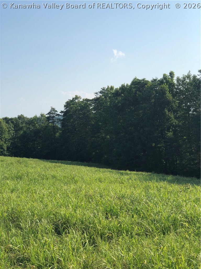 247 White Pine Road Kenna, WV 25248 - Photo 13 of 18 Gallery Image 13