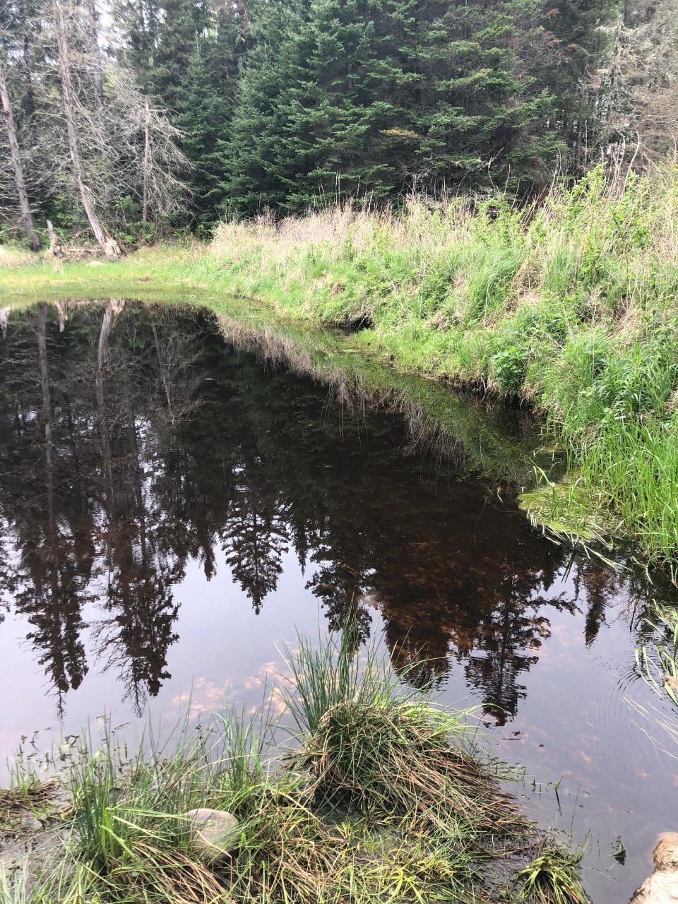 Near Fire Tower Road, Unit 40A Watersmeet, MI 49969 - Photo 11 of 30 Gallery Image 11