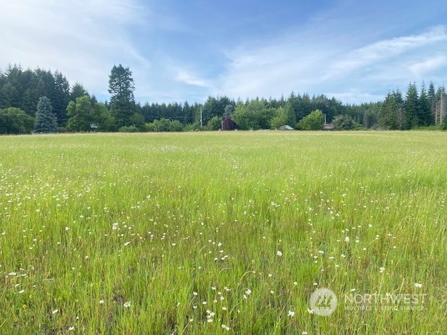 2 Stearns Road Chehalis, WA 98532 - Photo 1 of 21 Gallery Image 1