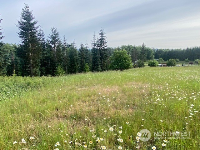 2 Stearns Road Chehalis, WA 98532 - Photo 11 of 21 Gallery Image 11