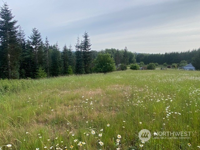 2 Stearns Road Chehalis, WA 98532 - Photo 13 of 21 Gallery Image 13