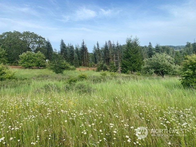 2 Stearns Road Chehalis, WA 98532 - Photo 14 of 21 Gallery Image 14