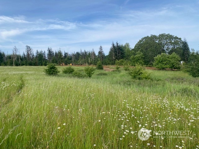 2 Stearns Road Chehalis, WA 98532 - Photo 15 of 21 Gallery Image 15