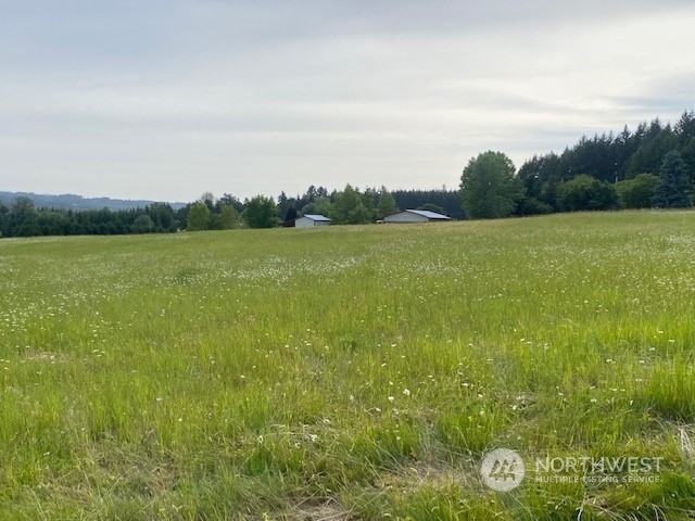 2 Stearns Road Chehalis, WA 98532 - Photo 16 of 21 Gallery Image 16