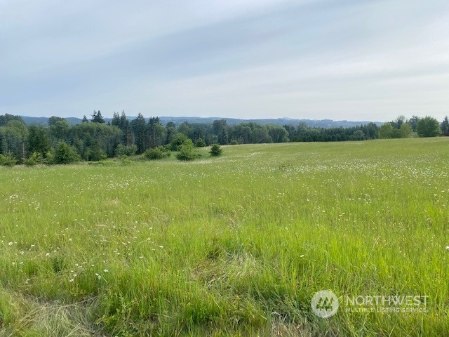 2 Stearns Road Chehalis, WA 98532 - Photo 19 of 21 Gallery Image 19