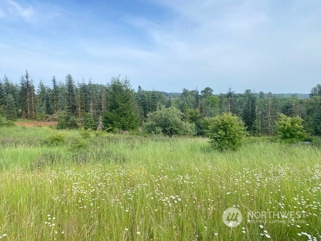 2 Stearns Road Chehalis, WA 98532 - Photo 20 of 21 Gallery Image 20