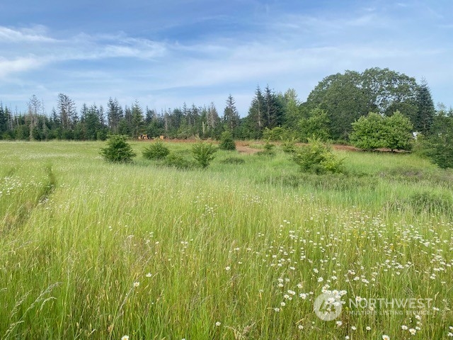 2 Stearns Road Chehalis, WA 98532 - Photo 2 of 21 Gallery Image 2