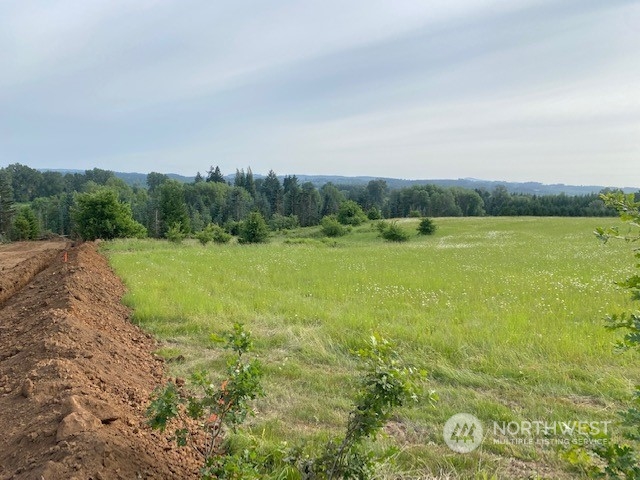 2 Stearns Road Chehalis, WA 98532 - Photo 3 of 21 Gallery Image 3