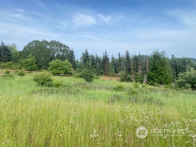 2 Stearns Road Chehalis, WA 98532 - Photo 7 of 21 Gallery Image 7