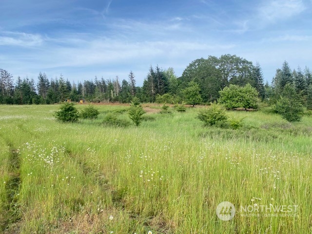 2 Stearns Road Chehalis, WA 98532 - Photo 8 of 21 Gallery Image 8