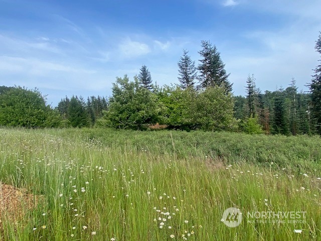 2 Stearns Road Chehalis, WA 98532 - Photo 9 of 21 Gallery Image 9