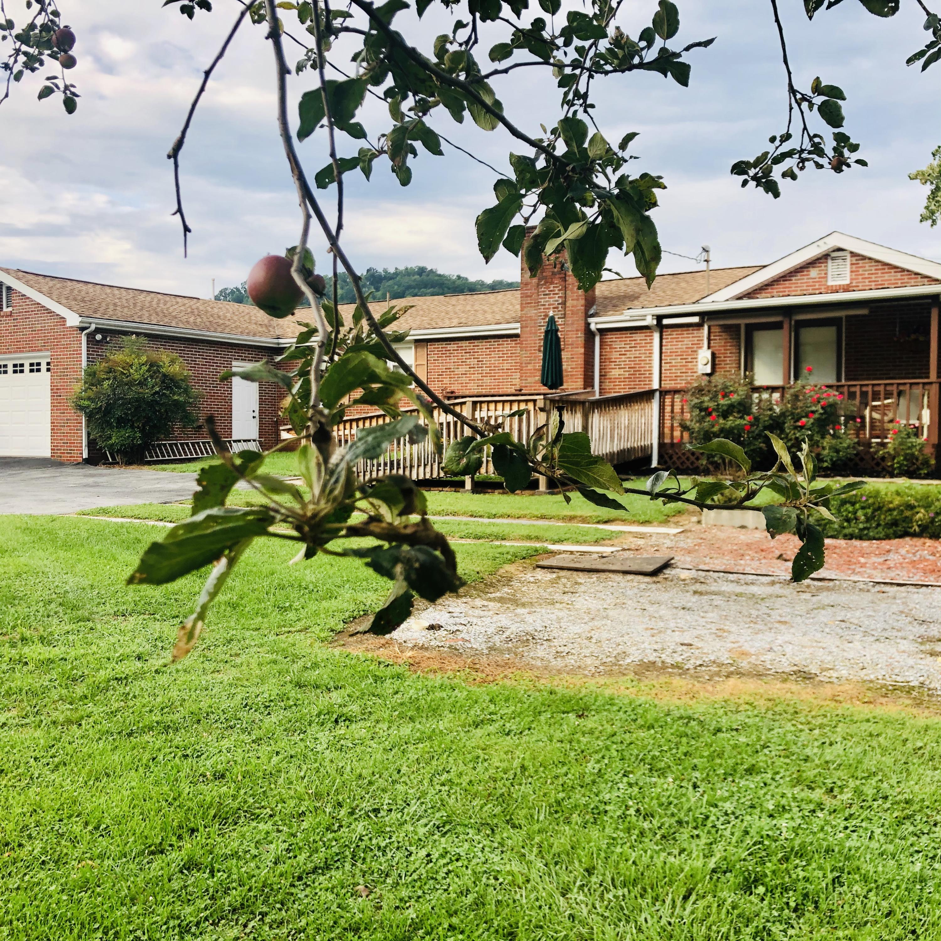126 Mill Pond Road Elizabethton, TN 37643 - Photo 36 of 39 C01F836D-EA78-4ACF-BC74-65746A2544C5