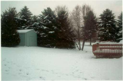 1505 Barclay Hill Road Beaver, PA 15009 - Photo 2 of 2 Yard/Garden.