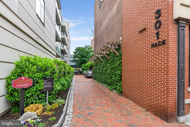 a view of a back yard of the house