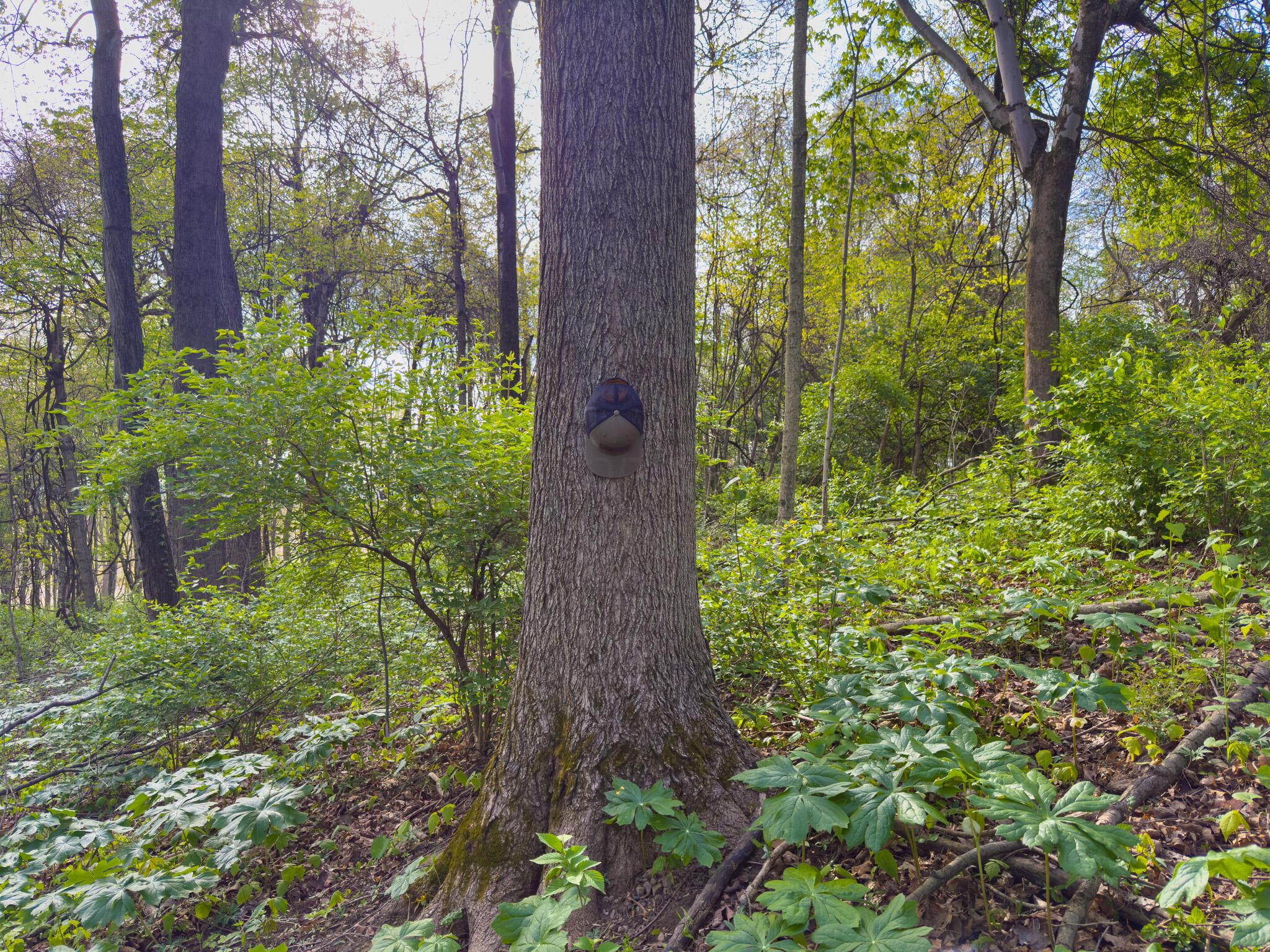 9874 Cincinnati-Zanesville Road Southwest Amanda, OH 43102 - Photo 16 of 50 cinci-zane rd sw-16
