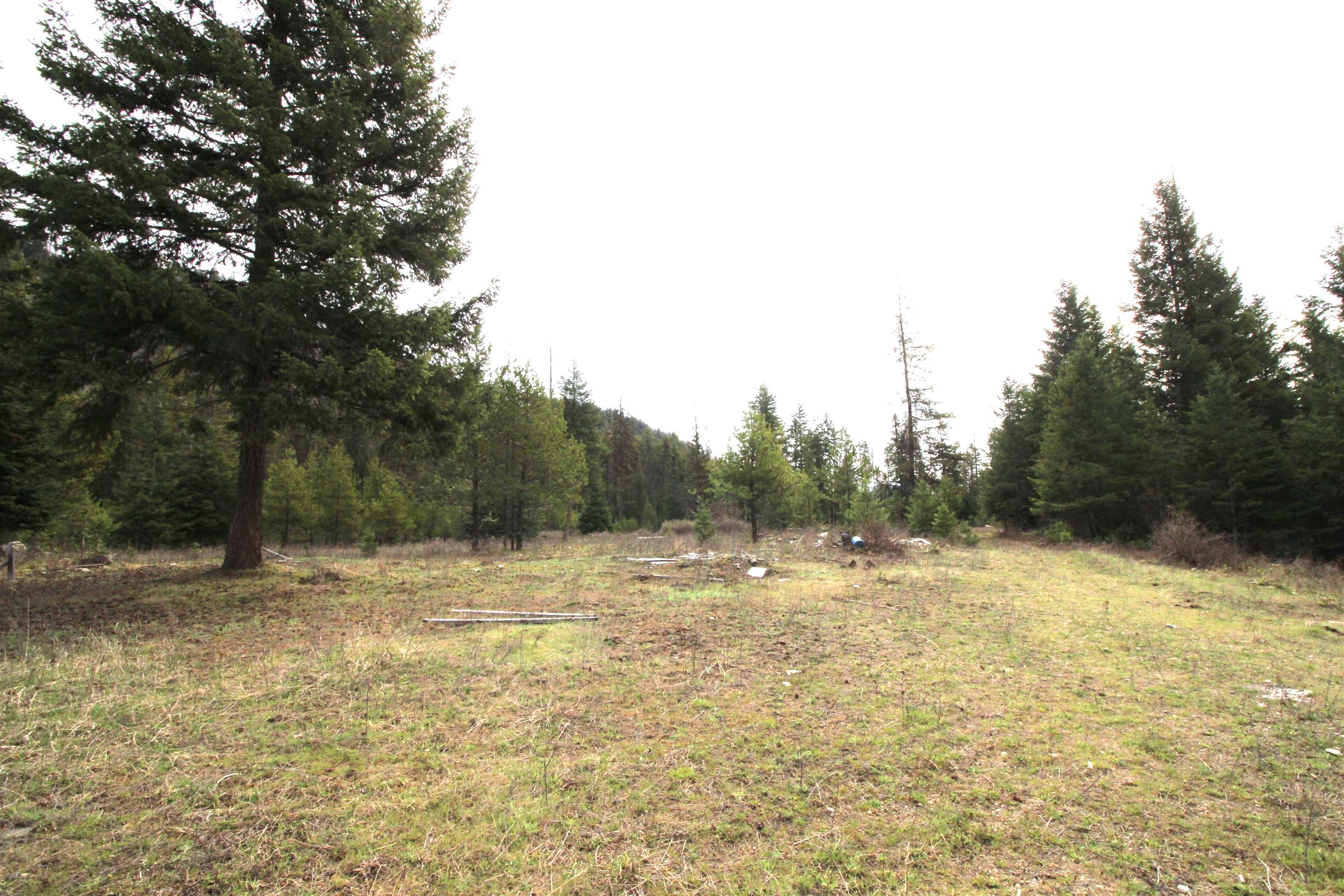 68 Arthurs Boulevard Cusick, WA 99119 - Photo 2 of 8 Gallery Image 2