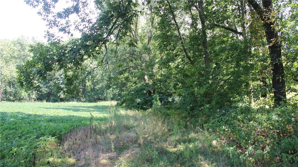 14330 Bond Road Coal City, IN 47427 - Photo 21 of 47 Gallery Image 21