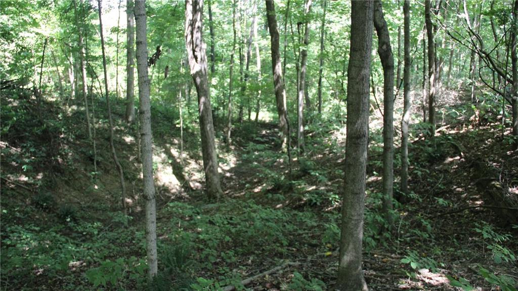 14330 Bond Road Coal City, IN 47427 - Photo 27 of 47 Gallery Image 27