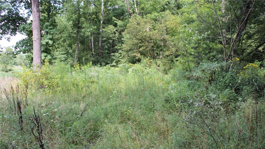 14330 Bond Road Coal City, IN 47427 - Photo 39 of 47 Gallery Image 39