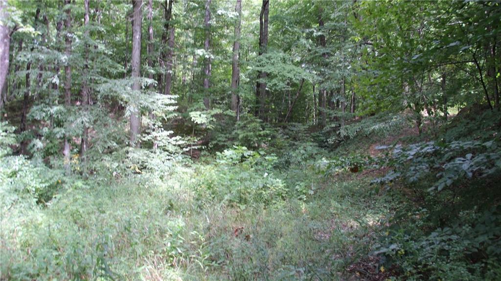 14330 Bond Road Coal City, IN 47427 - Photo 45 of 47 Gallery Image 45