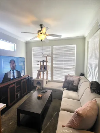 a living room with furniture rug and window