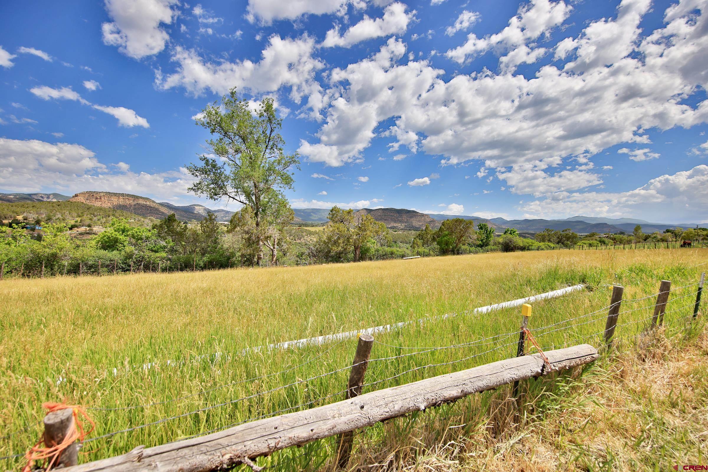 5867 Pe 3/10 Road Collbran, CO 81624 - Photo 27 of 35 Gallery Image 27
